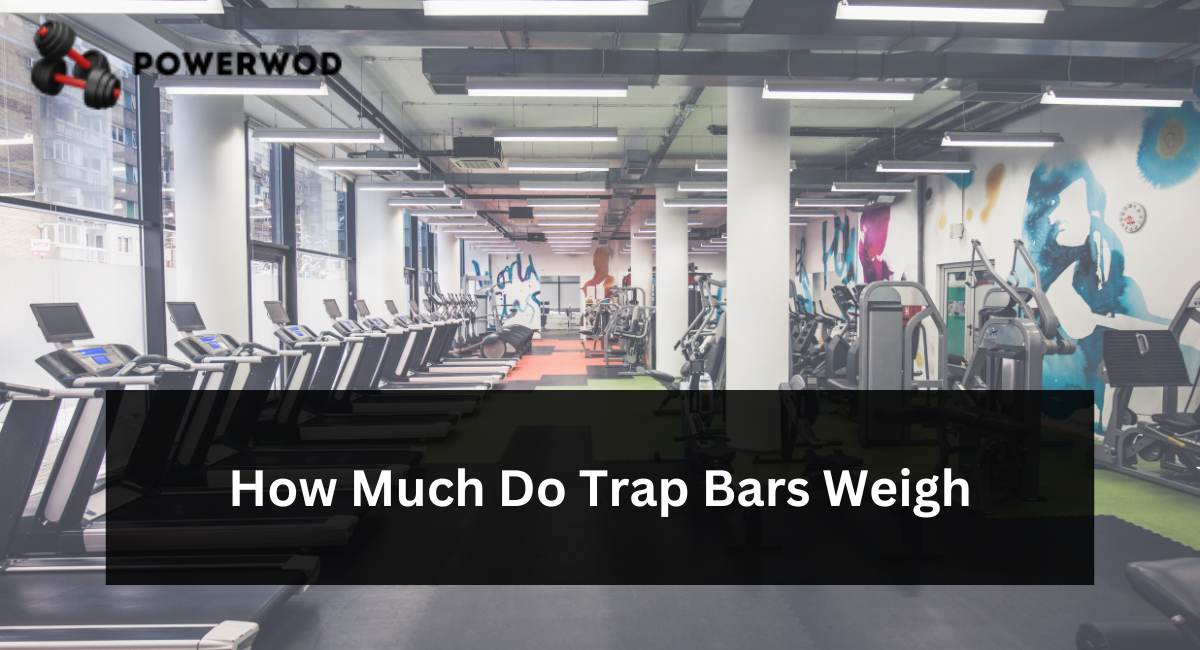How Much Do Trap Bars Weigh