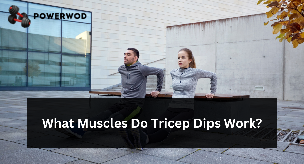 What Muscles Do Tricep Dips Work
