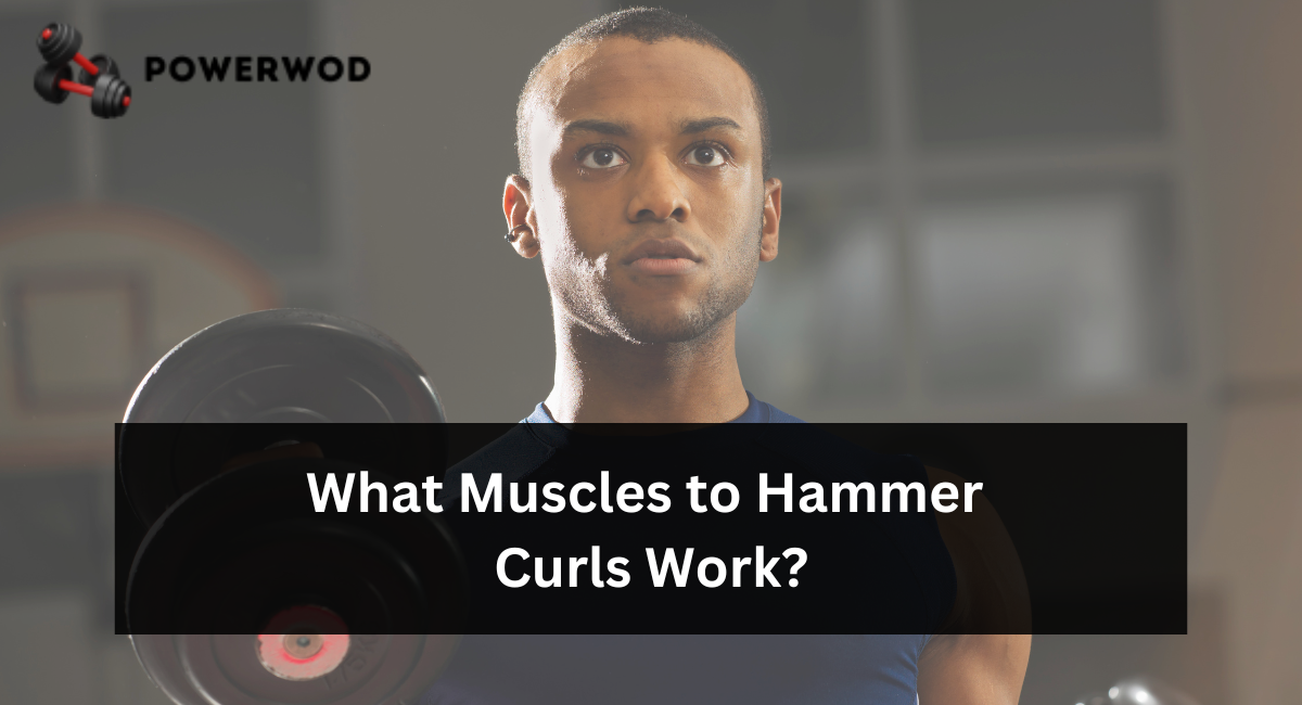 What Muscles to Hammer Curls Work